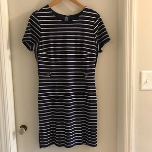 Banana Republic Navy Striped Dress